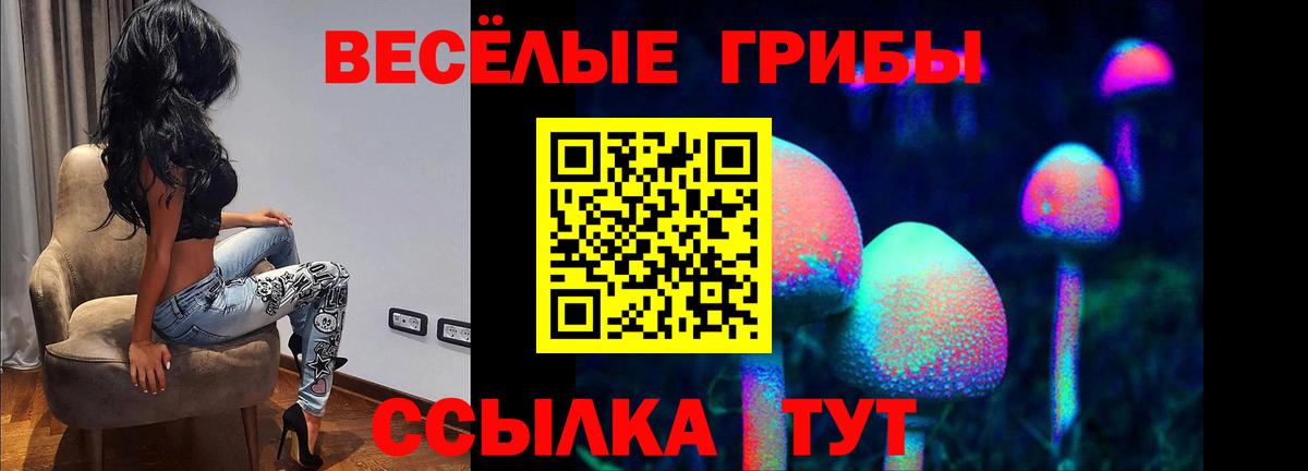 Электрогорск  Псилоцибиновые грибы Psilocybine cubensis  Вход с VPN  Галлюциногенные грибы Psilocybine cubensis 