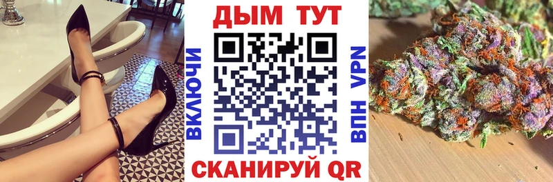 Шишки марихуана индика  нарко площадка клад  Электрогорск  продажа наркотиков 